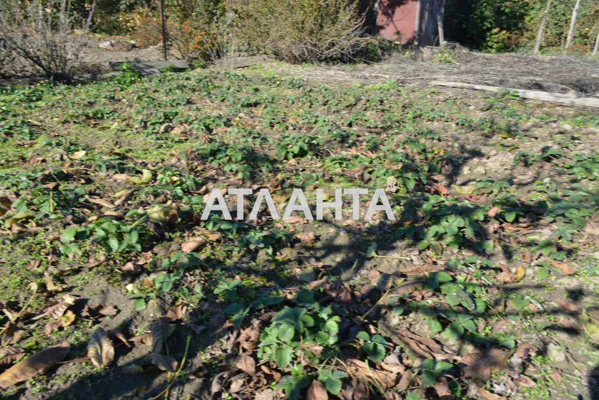 Landplot by the address st. Zhovtneva (area 4,6 acr) - Atlanta.ua - photo 10