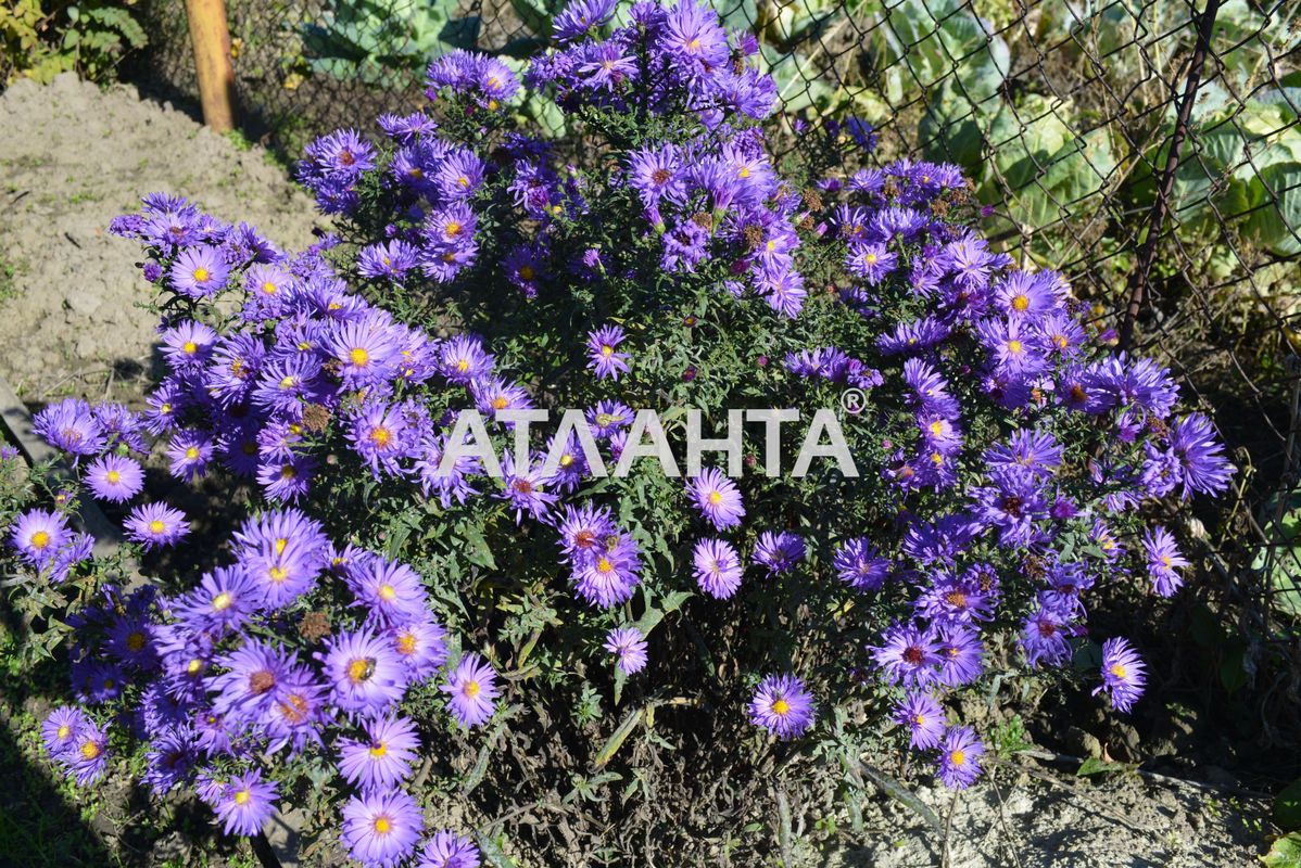 Landplot by the address st. Zhovtneva (area 4,6 acr) - Atlanta.ua - photo 13