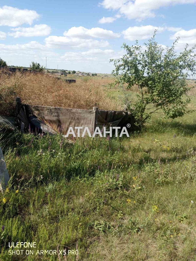 Landplot by the address (area 6,6 acr) - Atlanta.ua - photo 3