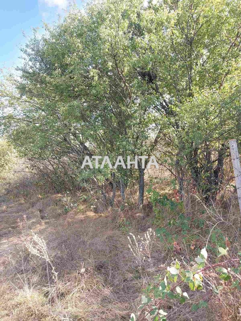 Ділянка за адресою вул. Друга (площа 9 сот) - Atlanta.ua - фото 4