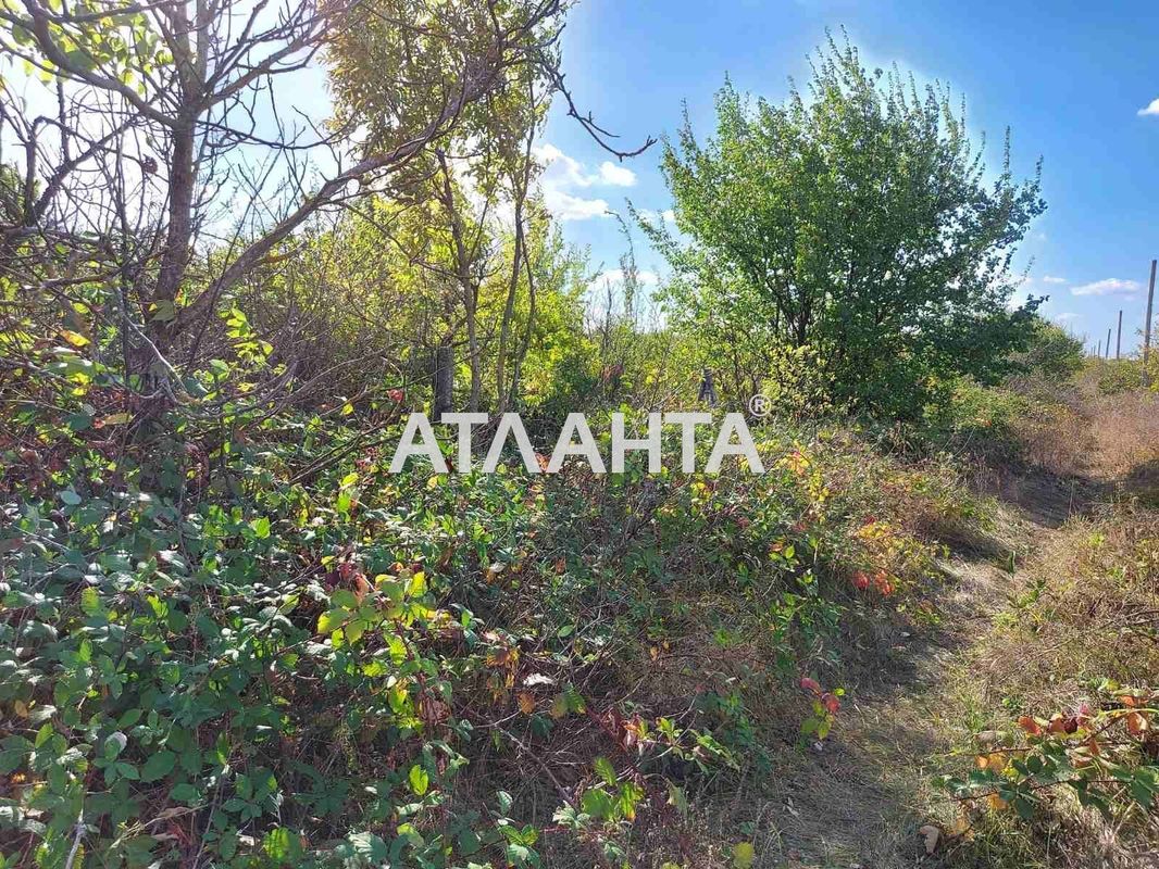 Ділянка за адресою вул. Друга (площа 9 сот) - Atlanta.ua - фото 5