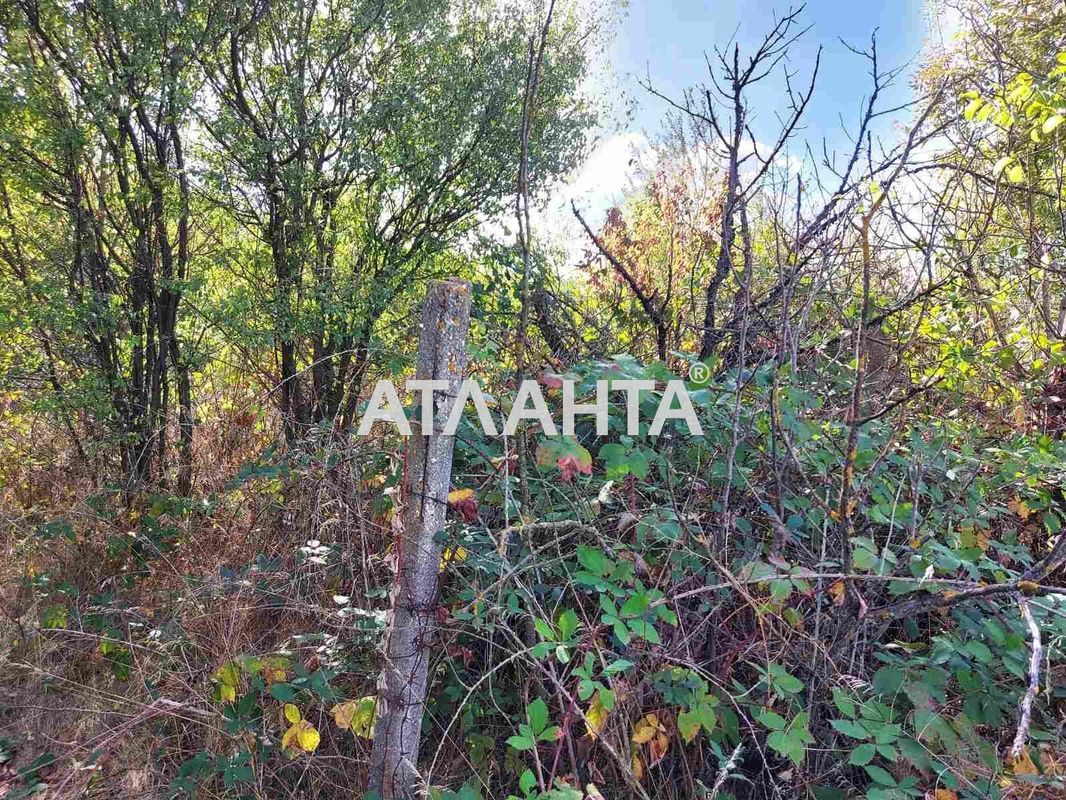 Ділянка за адресою вул. Друга (площа 9 сот) - Atlanta.ua - фото 6