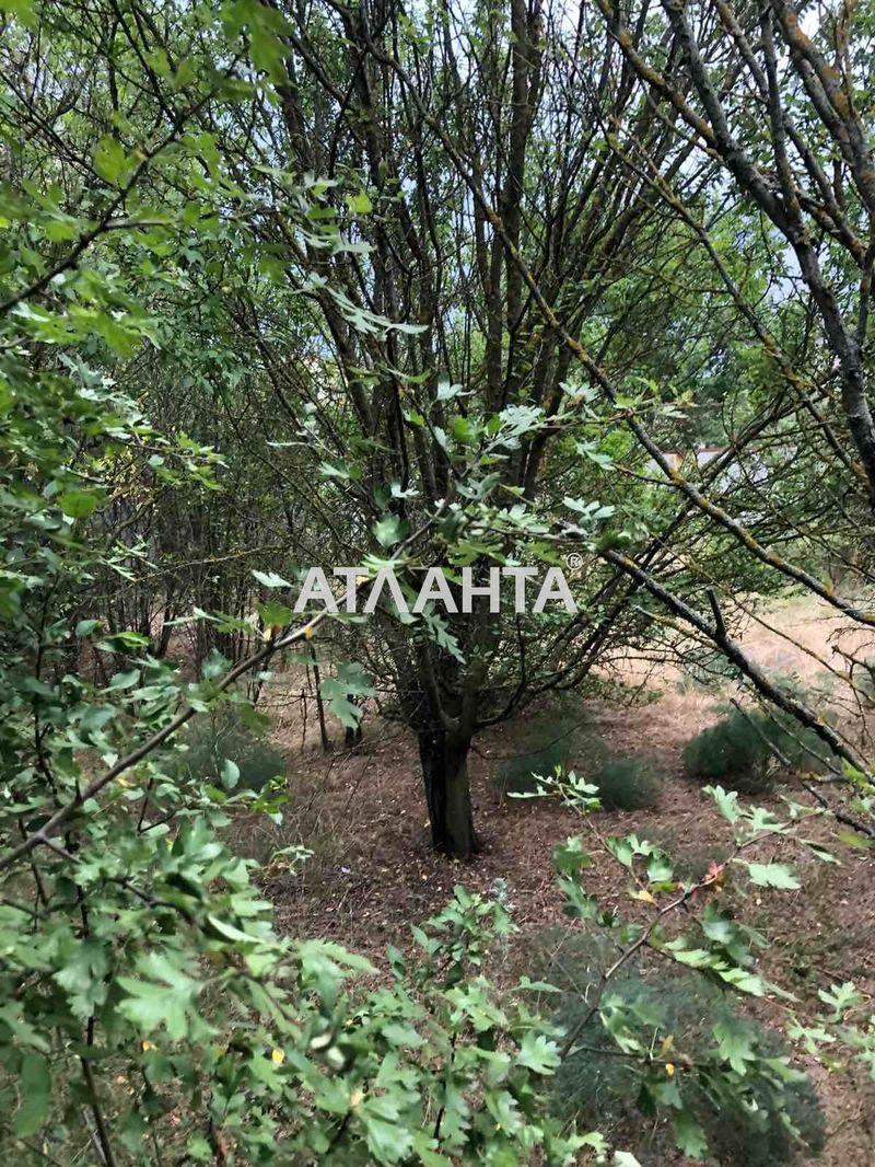 Участок по адресу (площадь 6 сот) - Atlanta.ua - фото 7