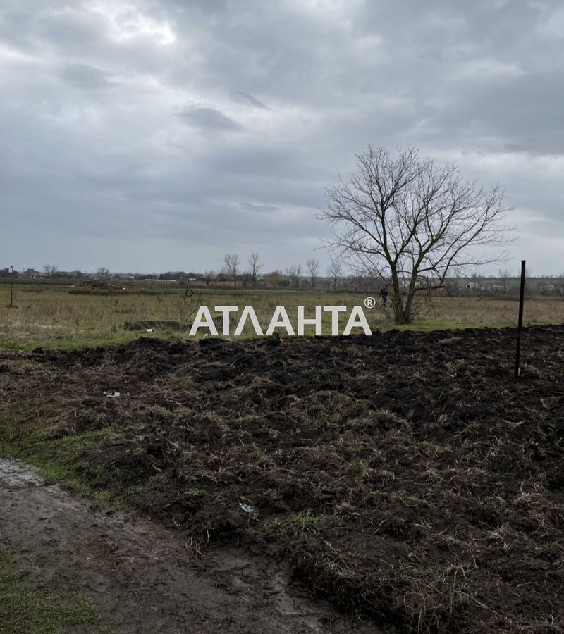 Участок по адресу ул. Школьная (площадь 15 сот) - Atlanta.ua - фото 4