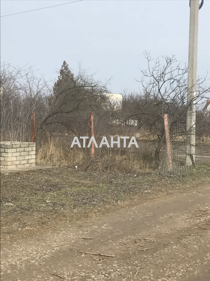 Участок по адресу ул. Центральная (площадь 12 сот) - Atlanta.ua - фото 2