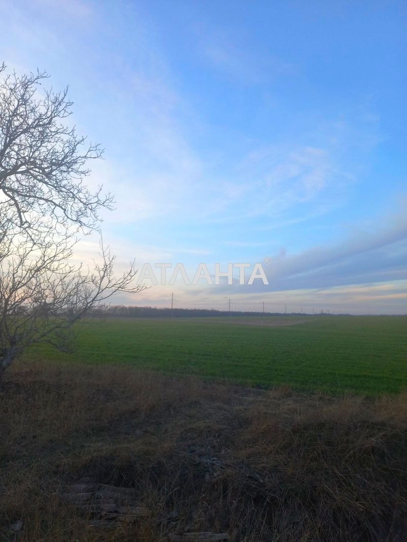 Ділянка за адресою вул. Масив №21 (площа 81 сот) - Atlanta.ua - фото 2