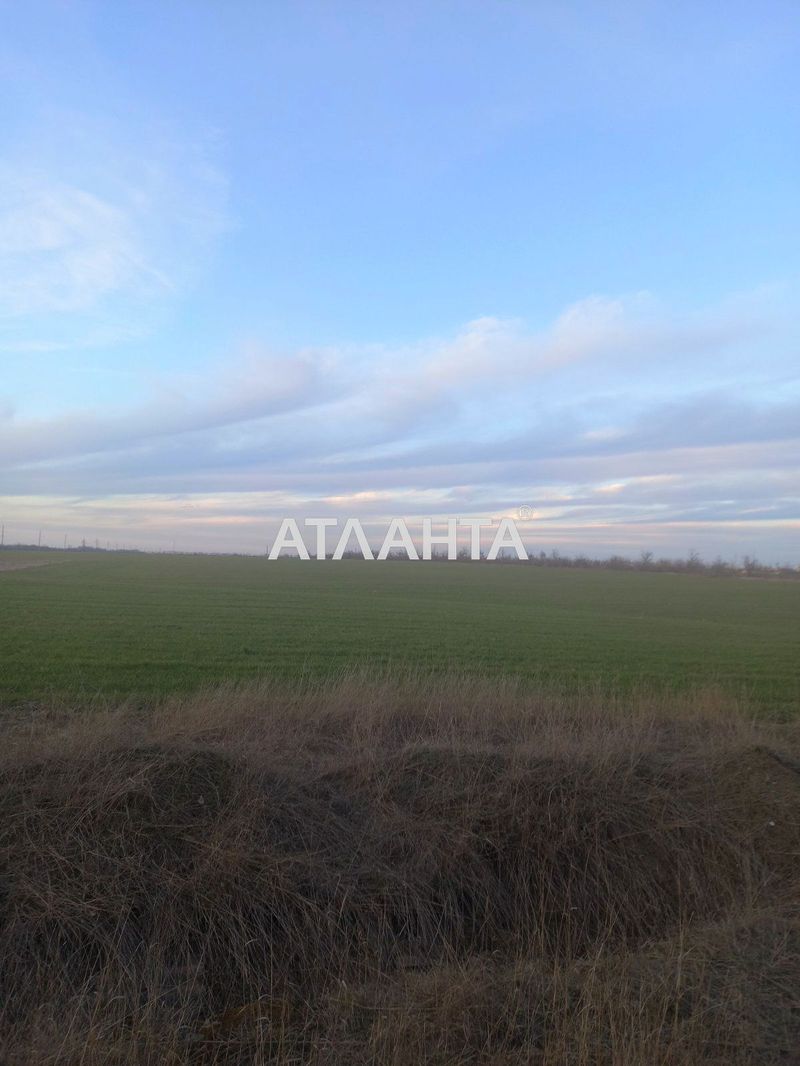 Ділянка за адресою вул. Масив №21 (площа 81 сот) - Atlanta.ua - фото 2