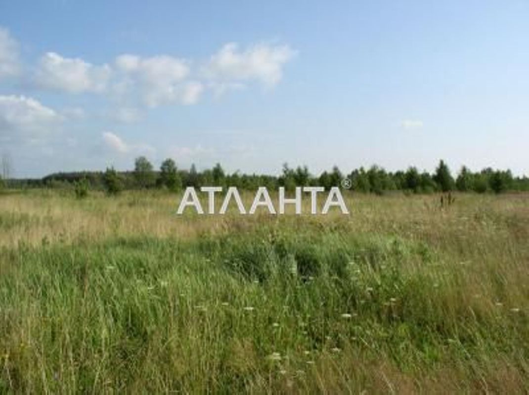 Участок по адресу ул. Молодежная (площадь 17 сот) - Atlanta.ua - фото 3