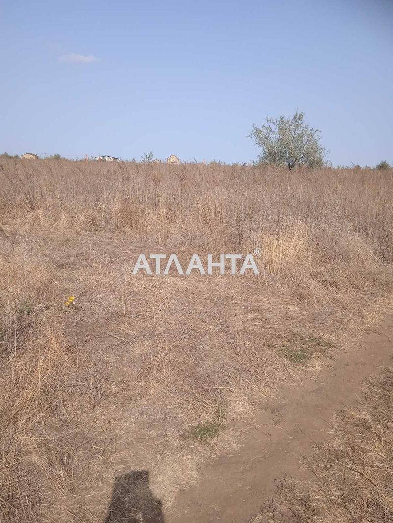 Участок по адресу ул. Молодежная (площадь 17 сот) - Atlanta.ua - фото 6
