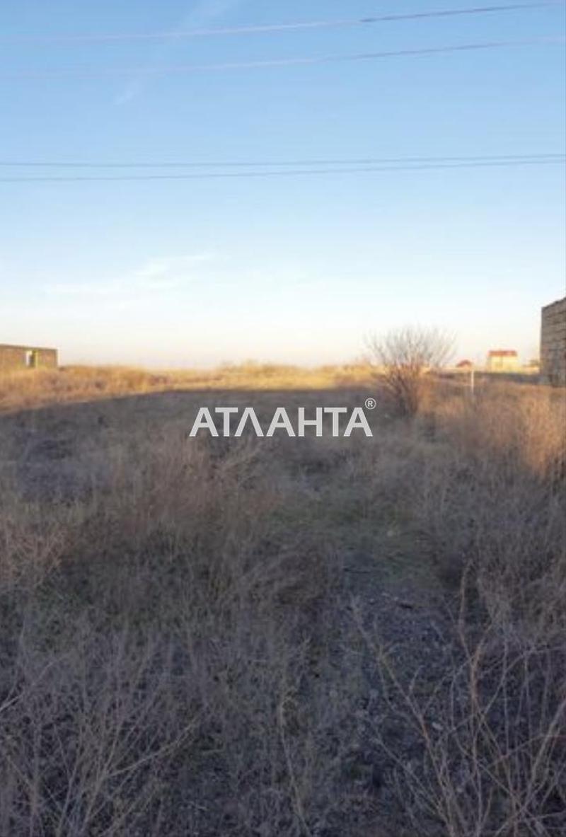 Участок по адресу ул. Мира (площадь 15 сот) - Atlanta.ua - фото 3