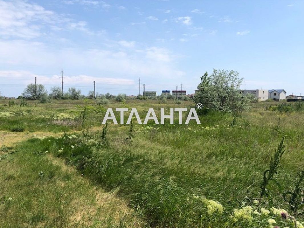 Landplot by the address st. Massiv 18 (area 6,5 acr) - Atlanta.ua - photo 3