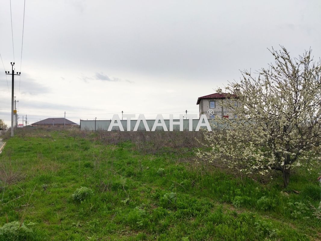 Landplot by the address st. Massiv 21 (area 13,7 acr) - Atlanta.ua - photo 2