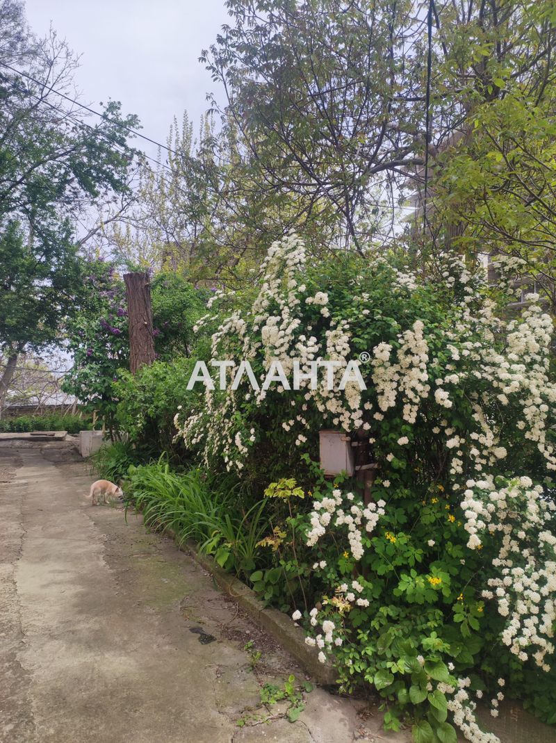 1-комнатная квартира по адресу ул. Золотой берег (площадь 50 м²) - Atlanta.ua - фото 19