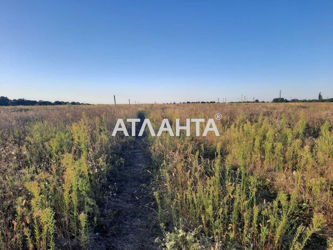 Landplot by the address st. Vesennyaya (area 6,8 acr) - Atlanta.ua - photo 2