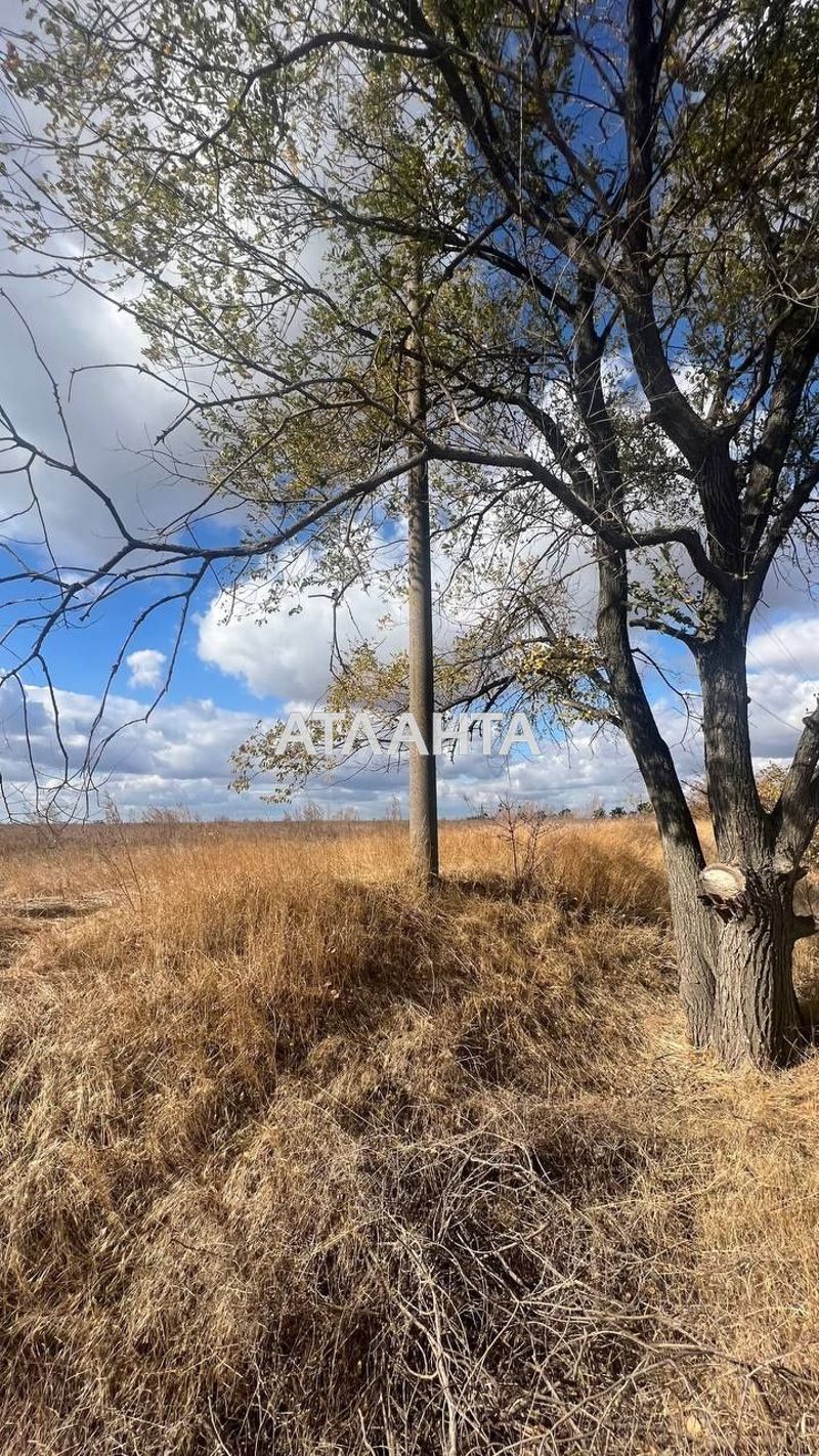 Landplot by the address st. Massiv 29 (area 170 acr) - Atlanta.ua - photo 3