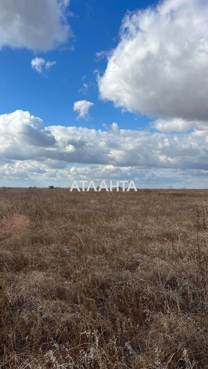 Landplot by the address st. Massiv 29 (area 170 acr) - Atlanta.ua - photo 4