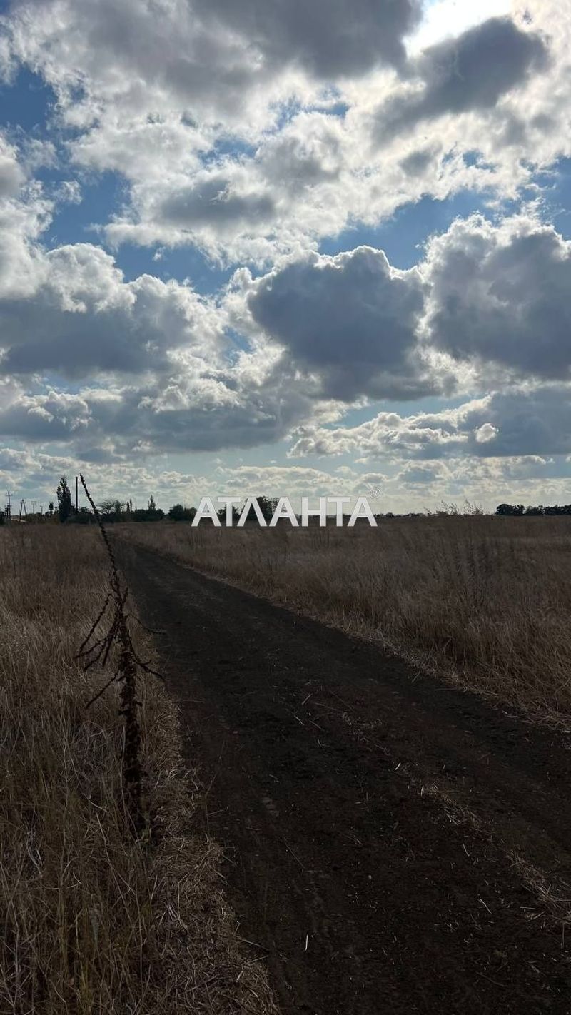 Landplot by the address st. Massiv 29 (area 170 acr) - Atlanta.ua - photo 5