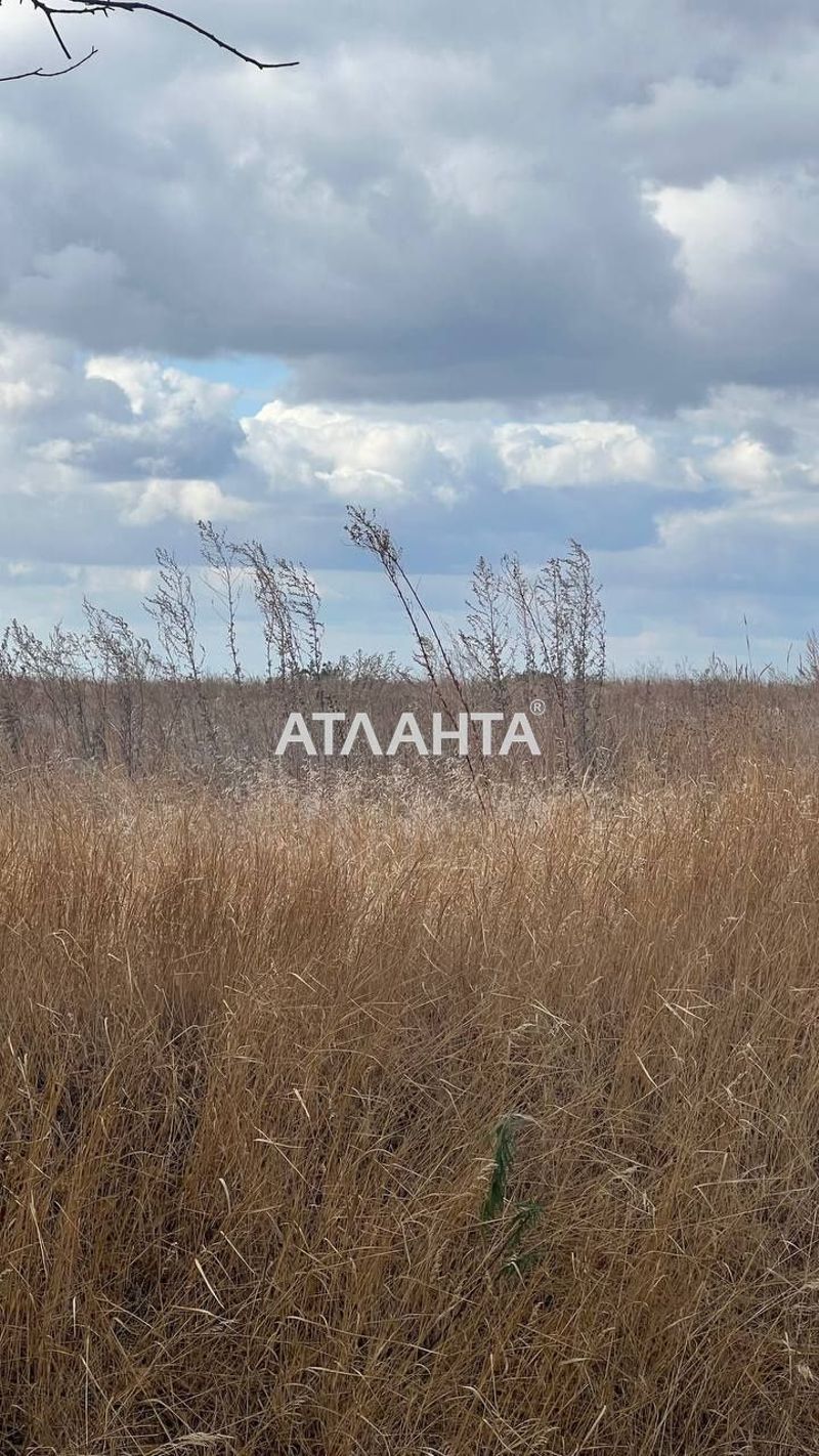 Landplot by the address st. Massiv 29 (area 170 acr) - Atlanta.ua - photo 6