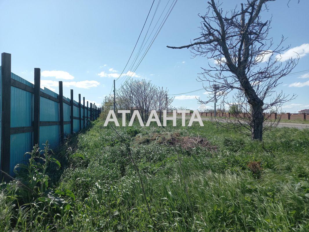 Landplot by the address st. Massiv 21 (area 14,1 acr) - Atlanta.ua - photo 4