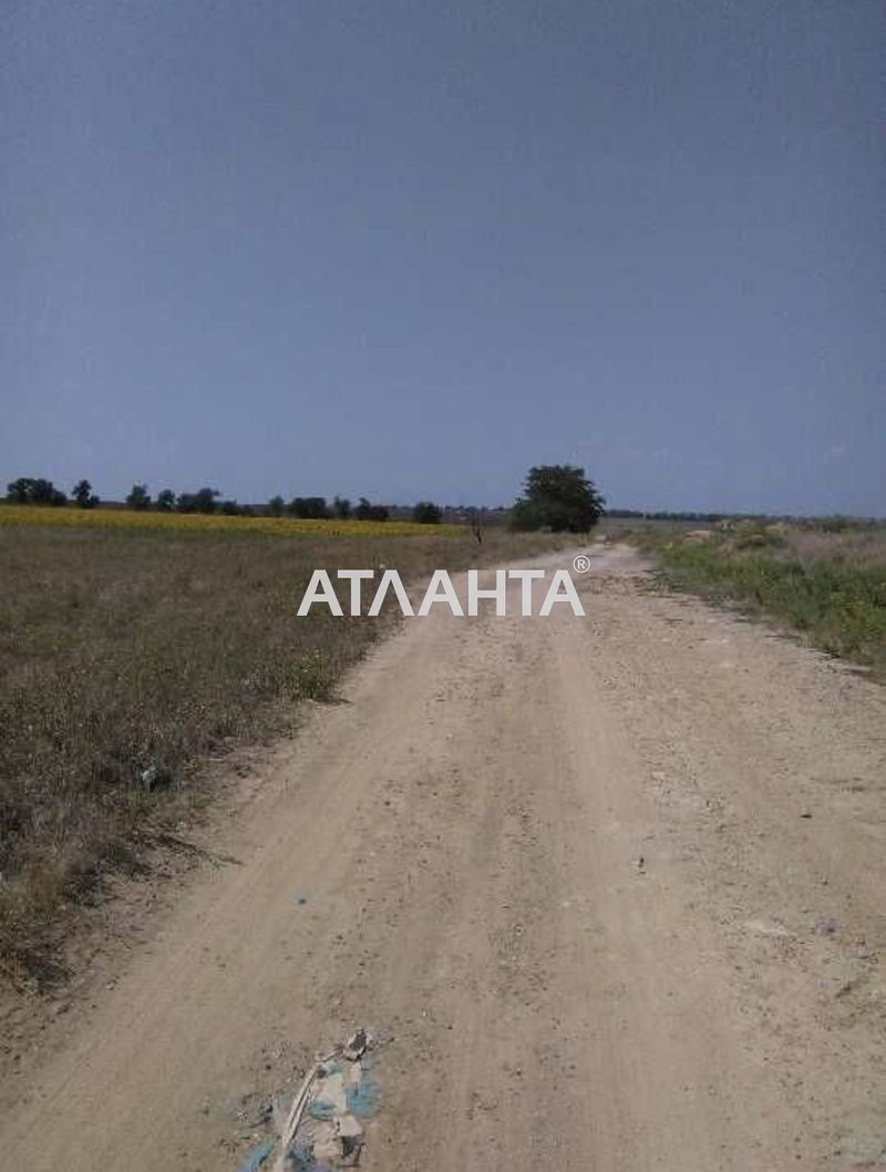 Ділянка за адресою (площа 197 сот) - Atlanta.ua - фото 4