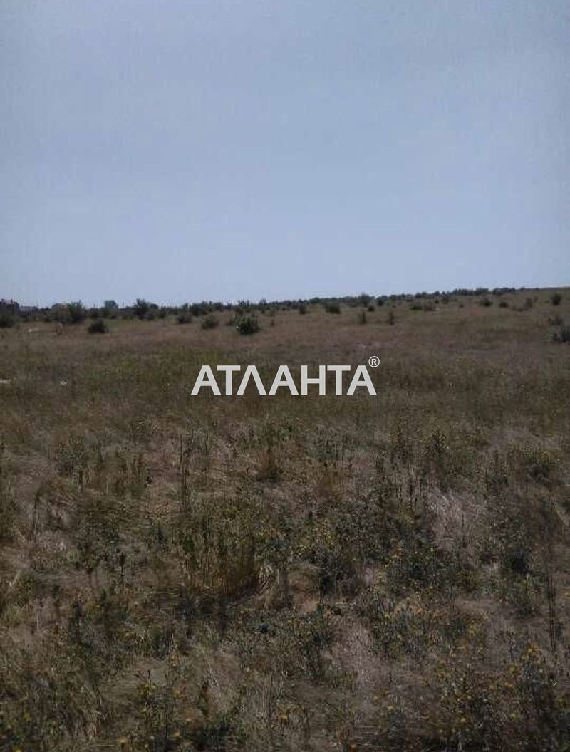 Ділянка за адресою (площа 197 сот) - Atlanta.ua - фото 5