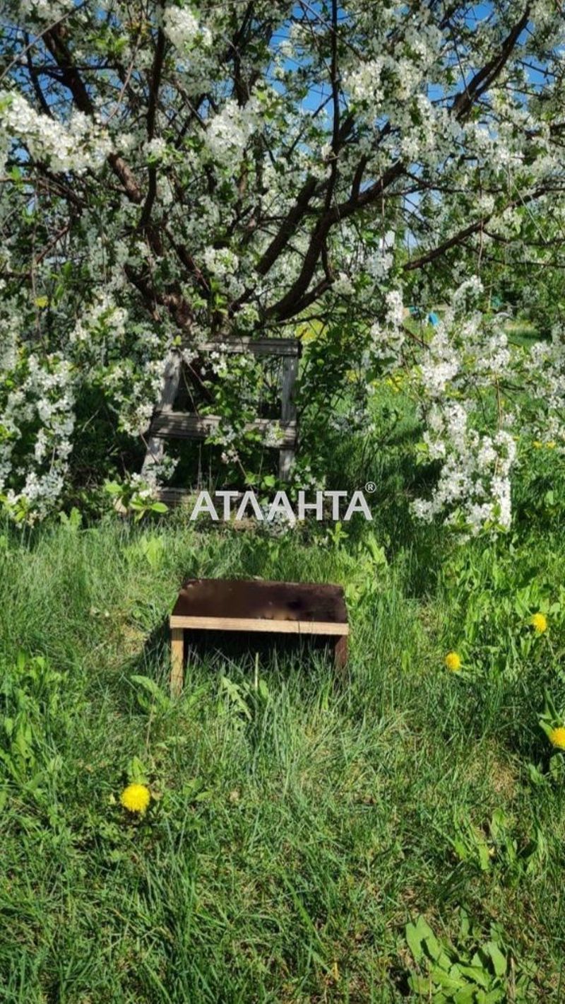 Участок по адресу (площадь 5,6 сот) - Atlanta.ua - фото 2