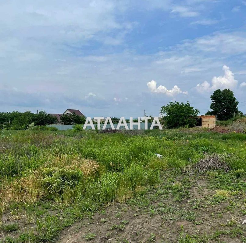 Landplot by the address st. Pogranichnaya (area 10,1 acr) - Atlanta.ua - photo 2