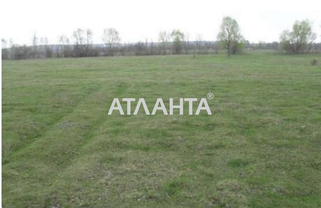 Участок по адресу ул. Винниченко (площадь 8 сот) - Atlanta.ua - фото 4