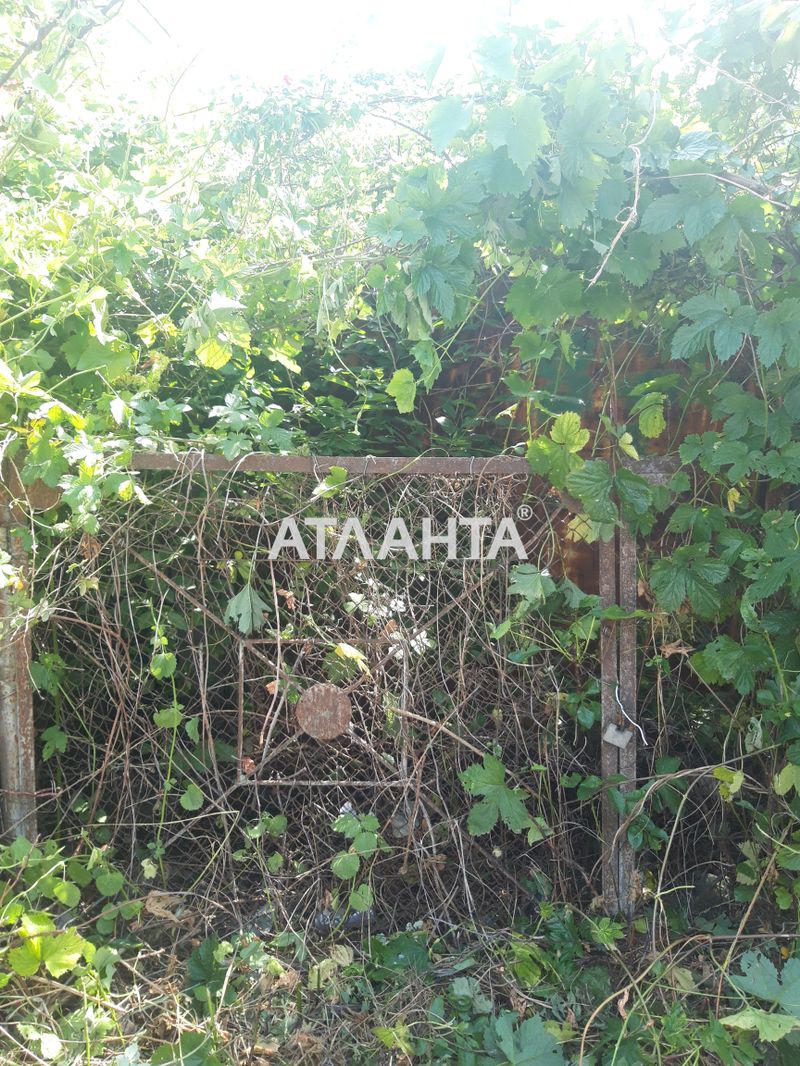 Дом по адресу ул. Дружбы (площадь 50 м²) - Atlanta.ua - фото 4