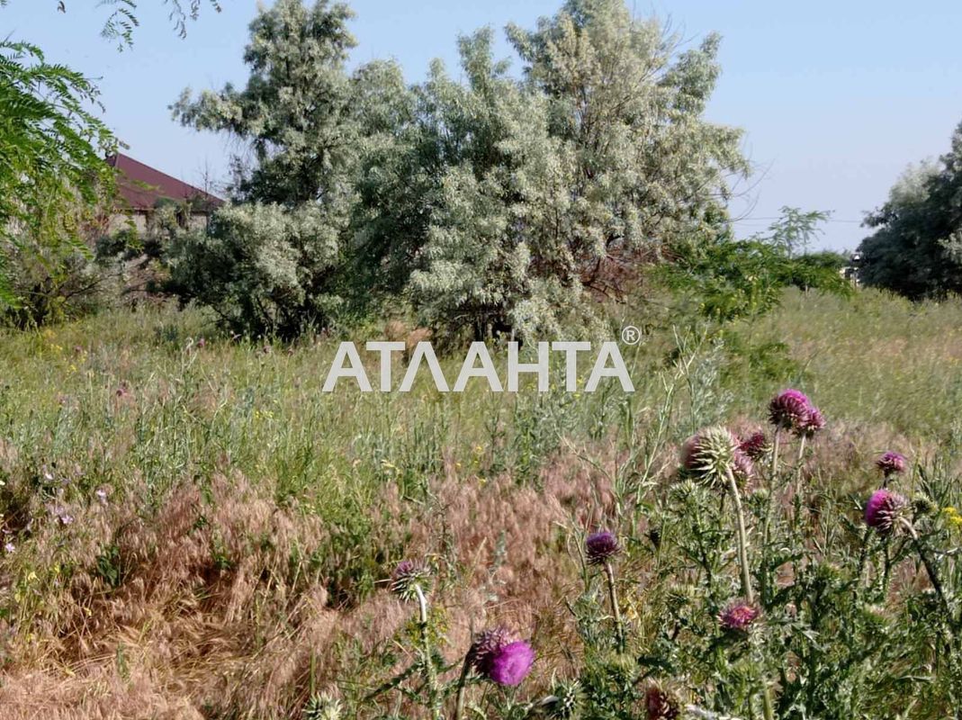 Участок по адресу ул. Вишневая (площадь 16,5 сот) - Atlanta.ua - фото 3