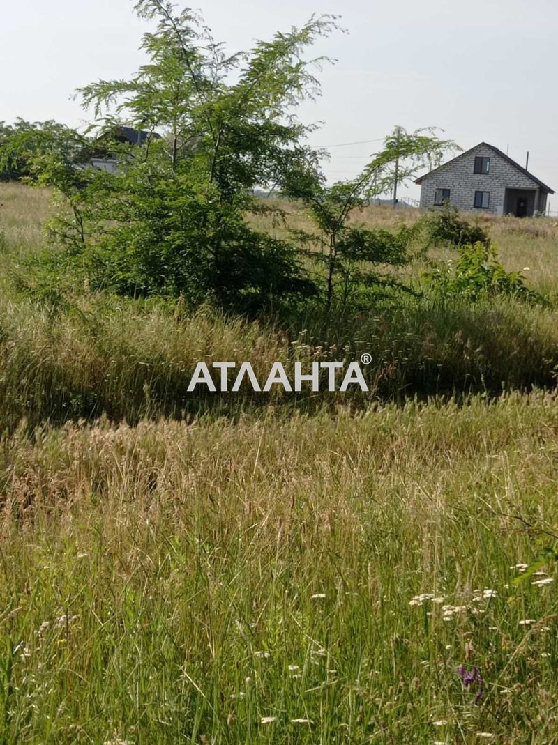 Участок по адресу ул. Вишневая (площадь 16,5 сот) - Atlanta.ua - фото 5