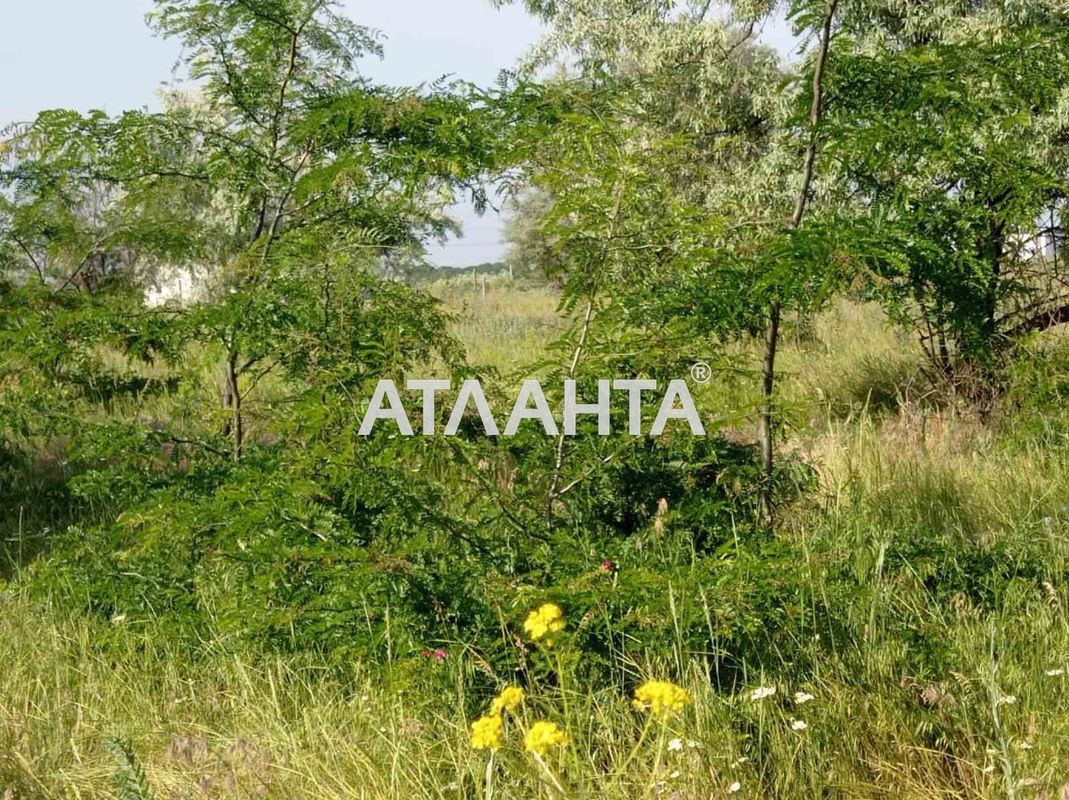Участок по адресу ул. Вишневая (площадь 16,5 сот) - Atlanta.ua - фото 8