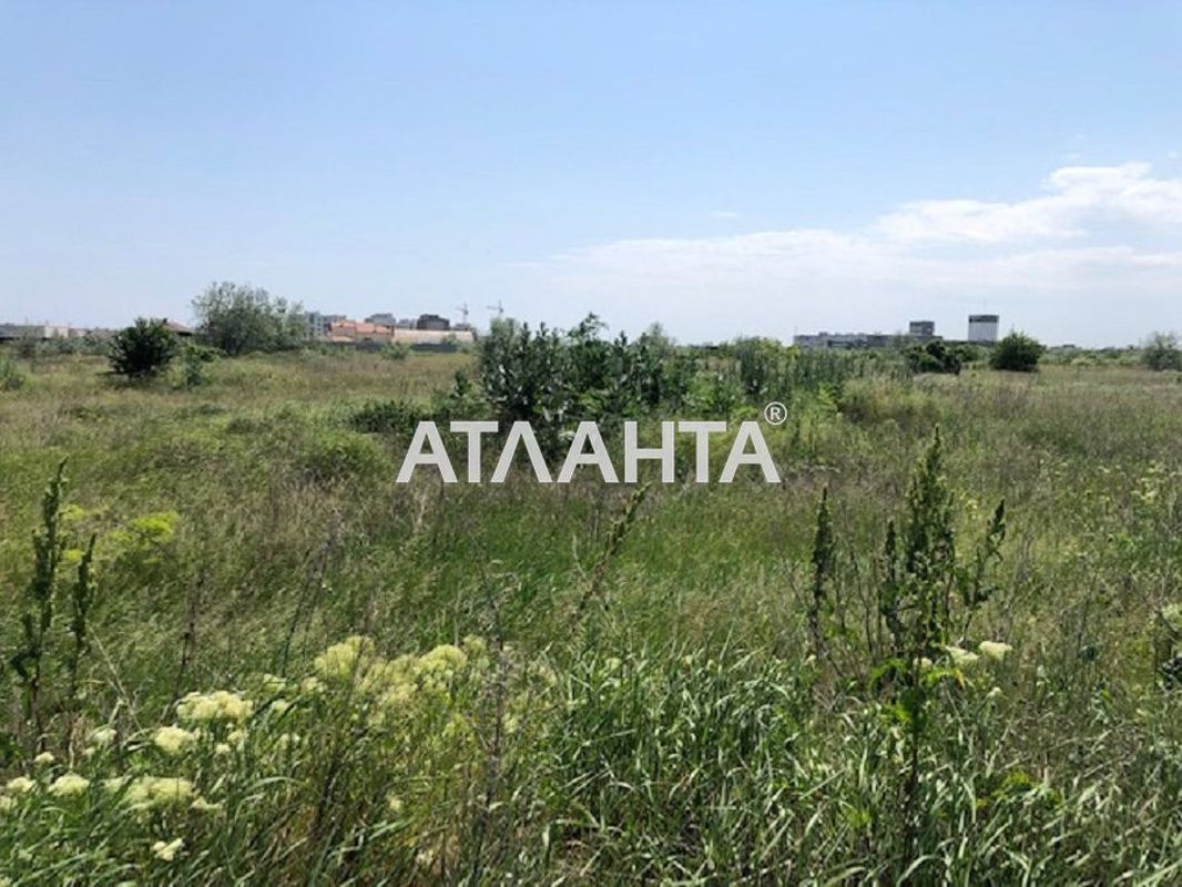 Landplot by the address (area 6,7 acr) - Atlanta.ua - photo 2