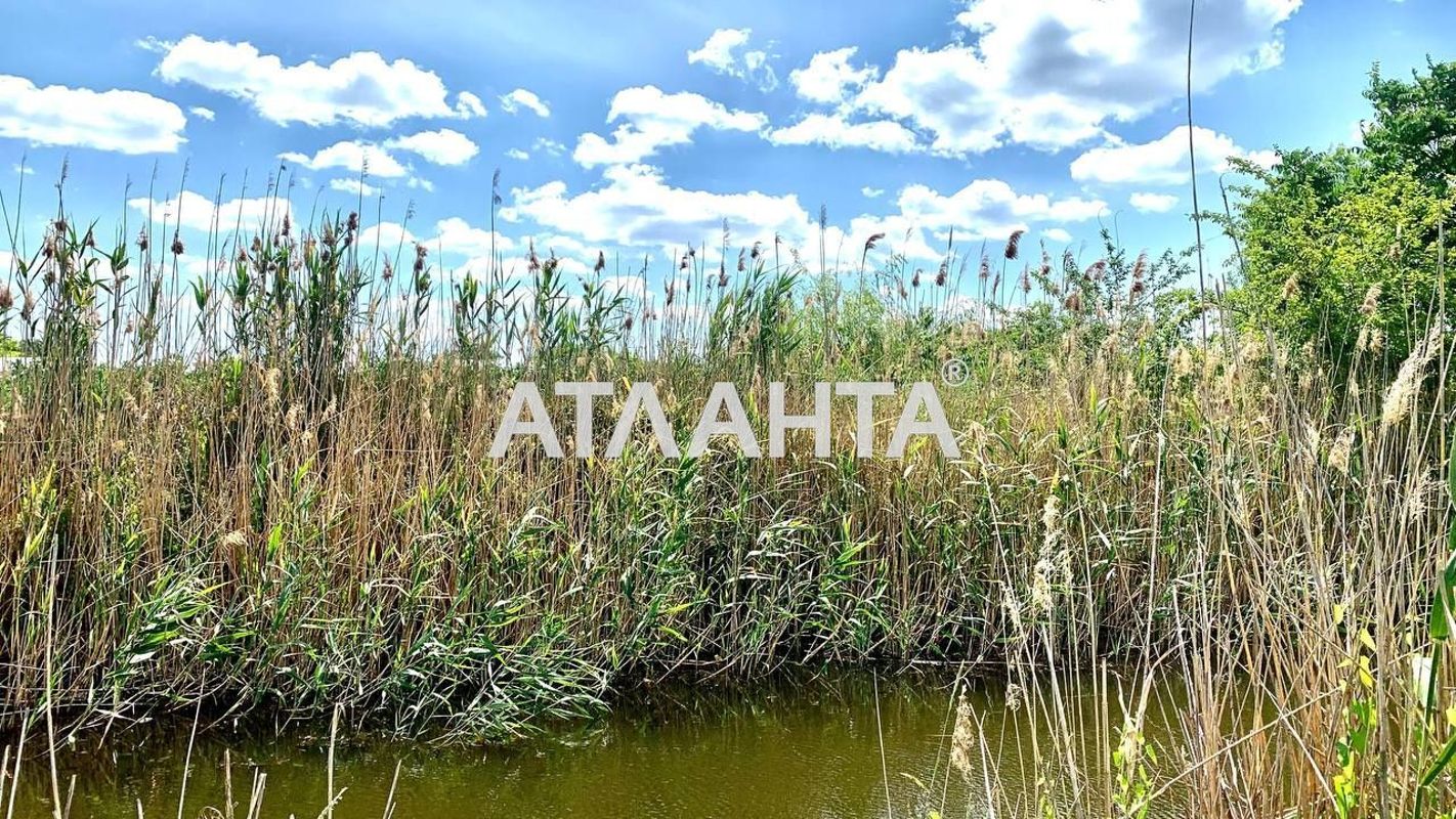 Участок по адресу ул. Речной пер (площадь 10 сот) - Atlanta.ua - фото 3