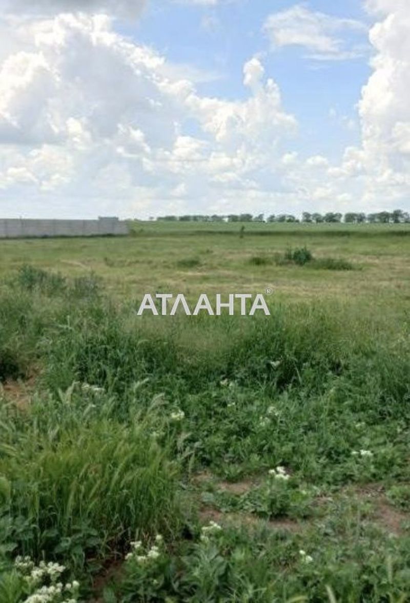 Landplot by the address st. Novoselov (area 10 acr) - Atlanta.ua - photo 3