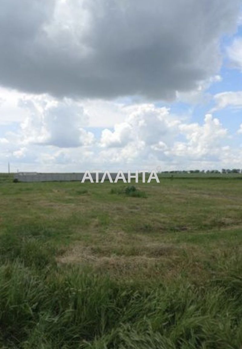 Landplot by the address st. Mira (area 7,5 acr) - Atlanta.ua - photo 4