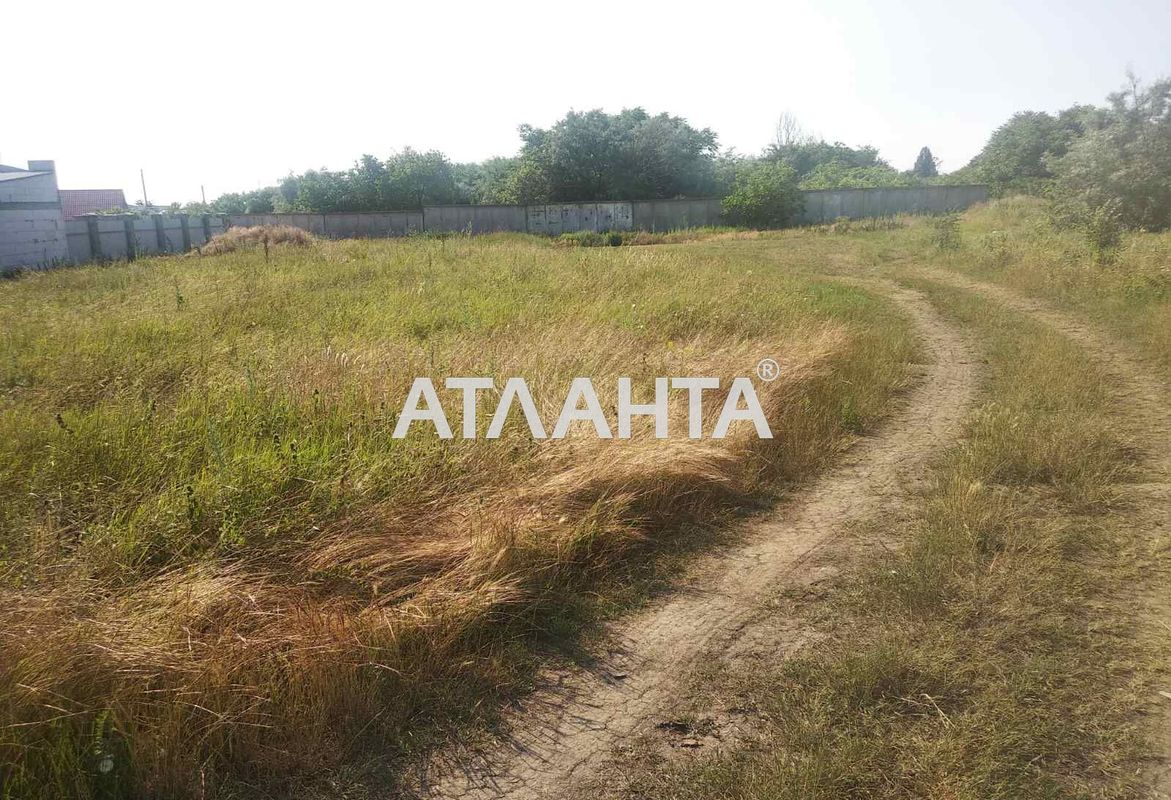 Landplot by the address st. Vinogradnaya (area 9,6 acr) - Atlanta.ua - photo 5