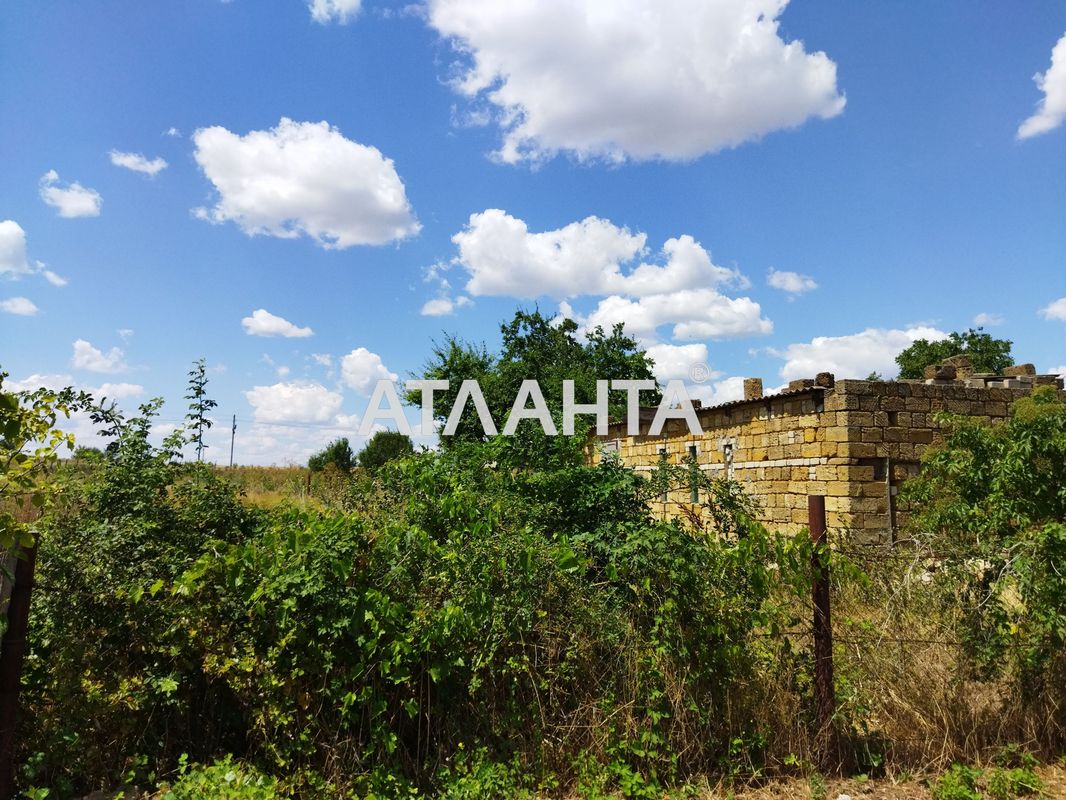 Landplot by the address st. Zarechnaya (area 19,6 acr) - Atlanta.ua - photo 6