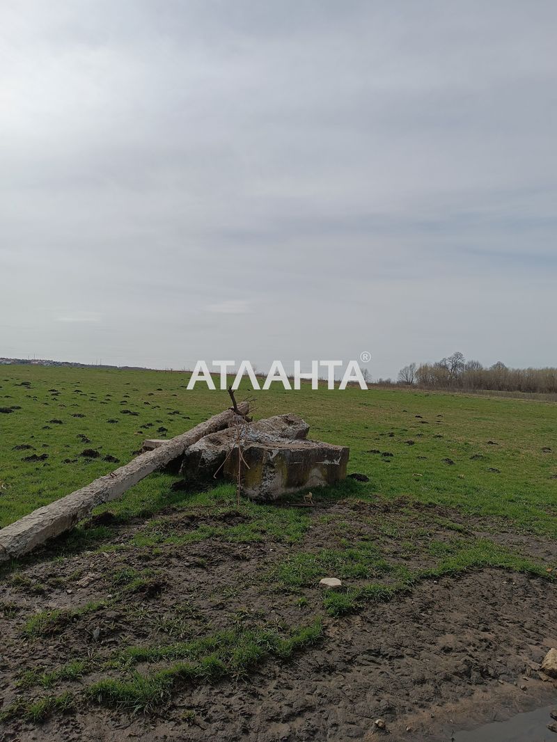 Участок по адресу (площадь 16 сот) - Atlanta.ua - фото 6