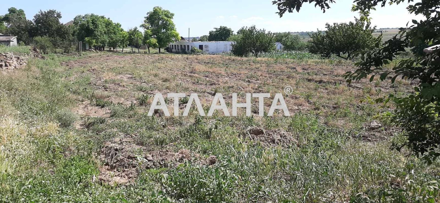 Будинок за адресою Буяклу Степана пров. (площа 80 м²) - Atlanta.ua - фото 10