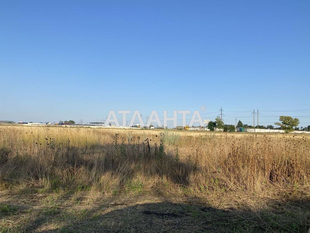 Landplot by the address st. Massiv 9 (area 178 acr) - Atlanta.ua - photo 2