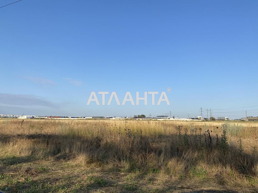 Landplot by the address st. Massiv 9 (area 178 acr) - Atlanta.ua - photo 3