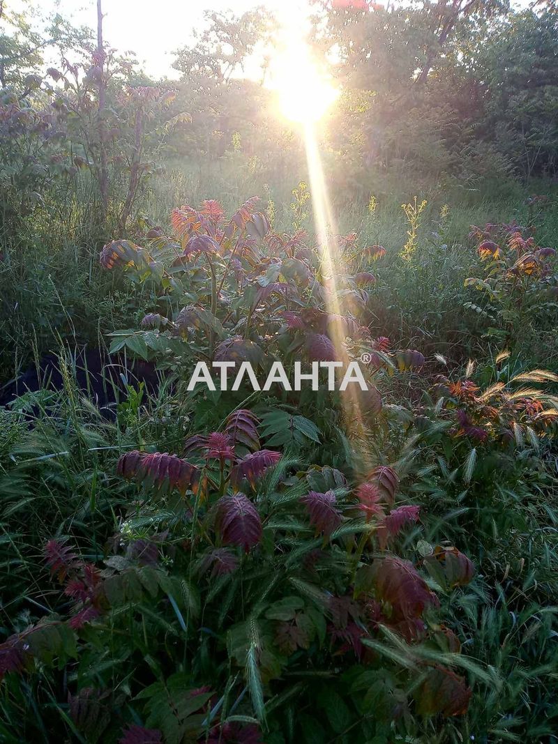 Ділянка за адресою вул. Масив №3 (площа 6 сот) - Atlanta.ua - фото 2