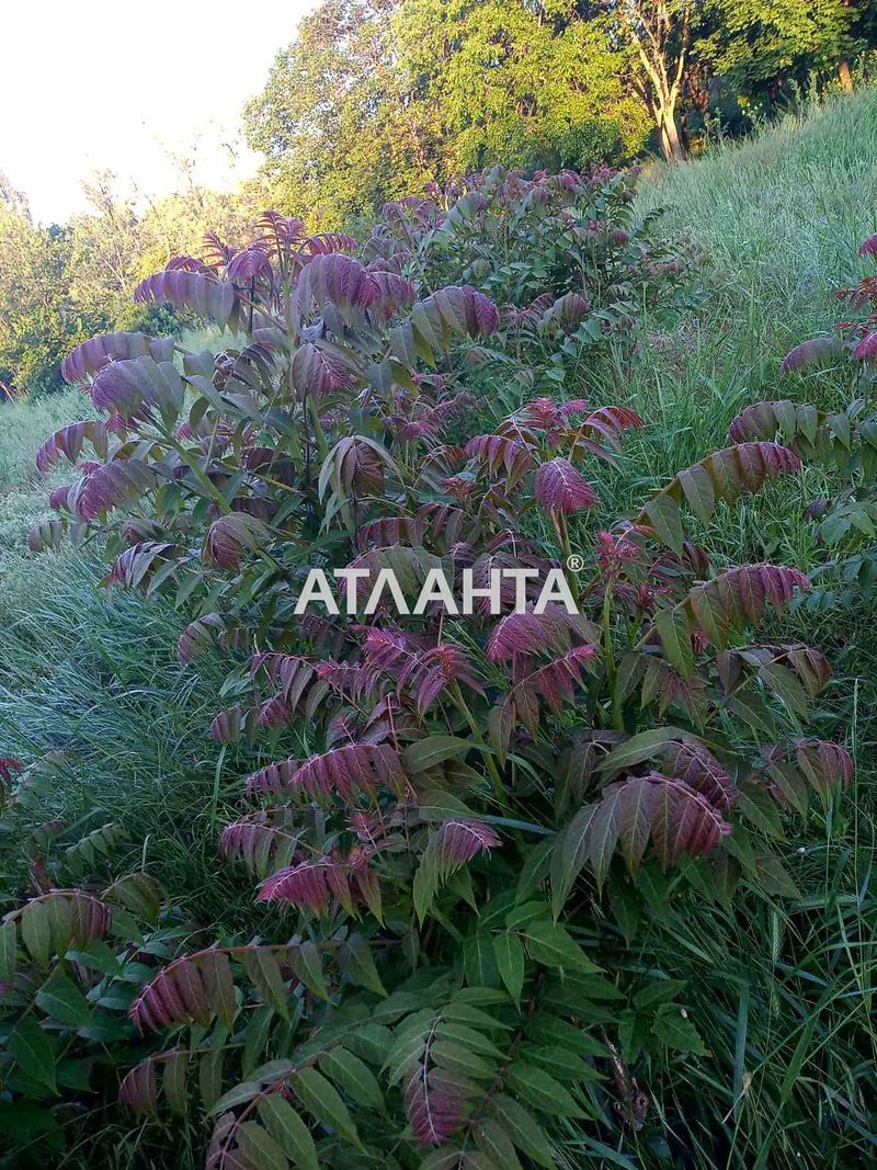 Ділянка за адресою вул. Масив №3 (площа 6 сот) - Atlanta.ua - фото 3