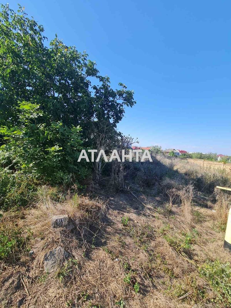 Участок по адресу ул. Уютная (площадь 10 сот) - Atlanta.ua - фото 4