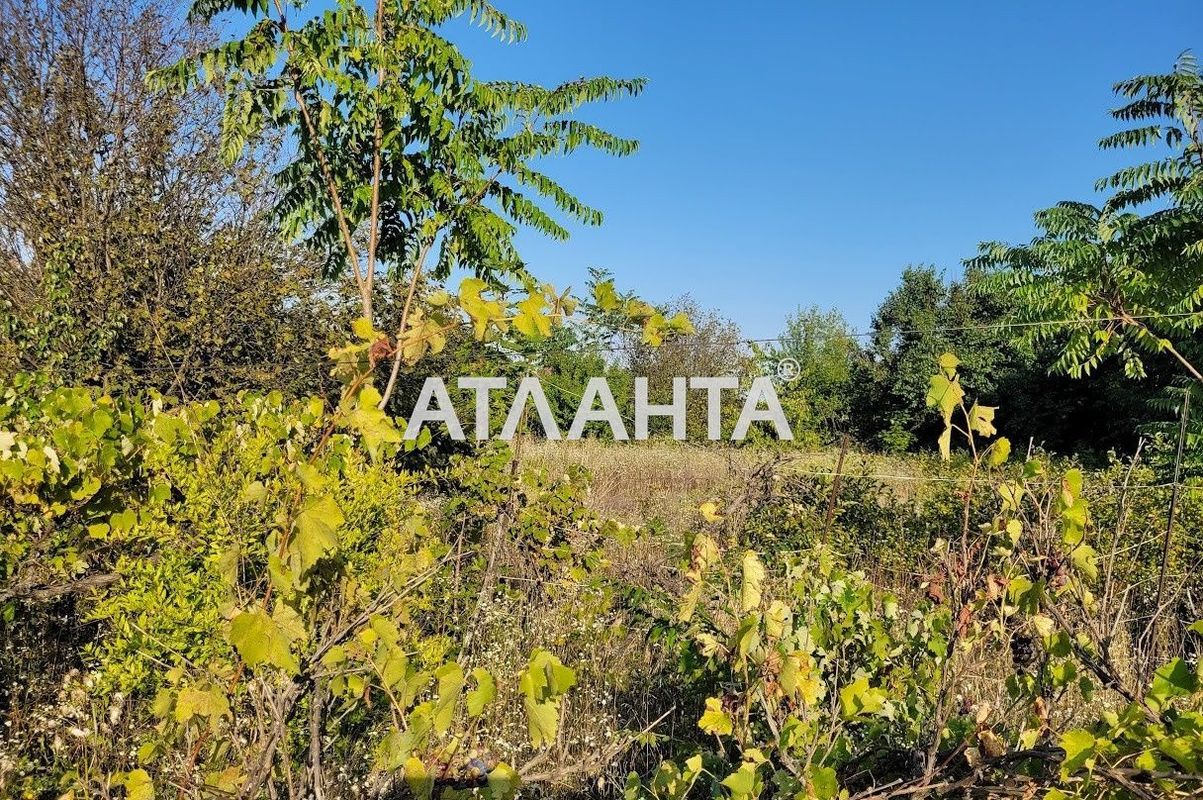 Участок по адресу ул. Шевченко (площадь 9 сот) - Atlanta.ua - фото 2