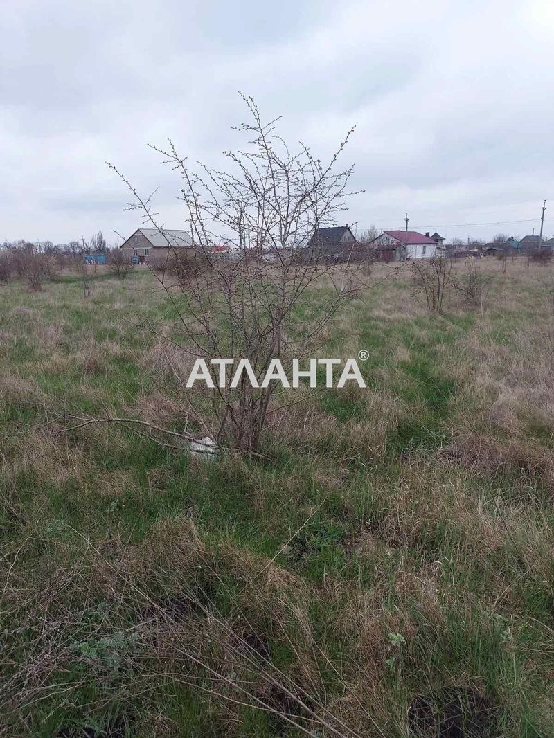 Landplot by the address st. Parkovaya (area 10 acr) - Atlanta.ua - photo 2