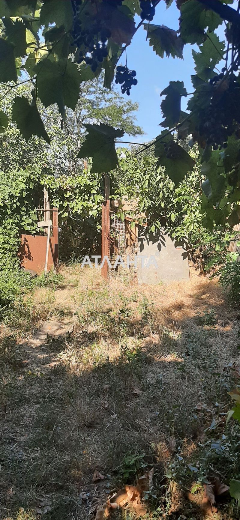 Ділянка за адресою вул. Ветеранів (площа 12 сот) - Atlanta.ua - фото 3