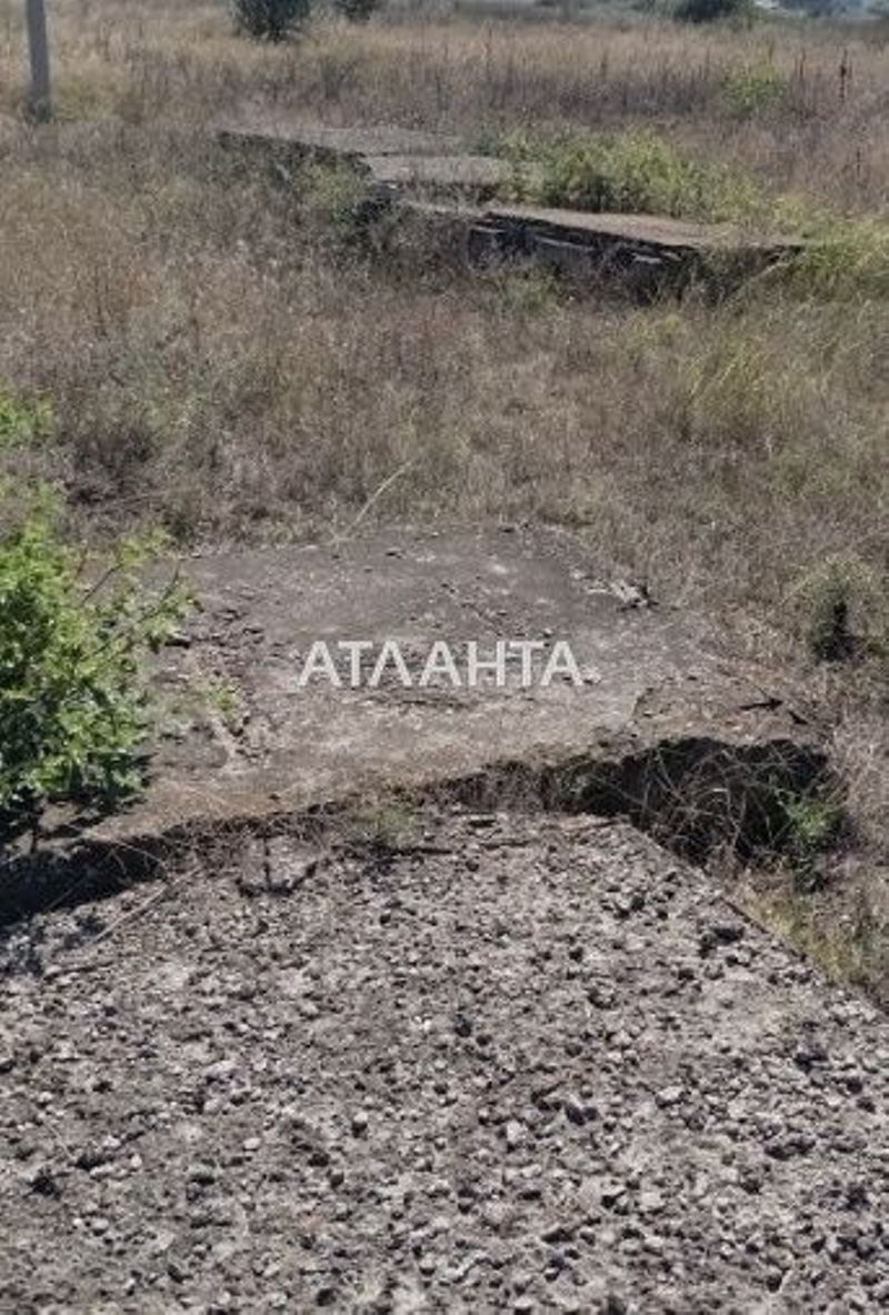 Участок по адресу ул. Тенистая (площадь 8 сот) - Atlanta.ua - фото 6