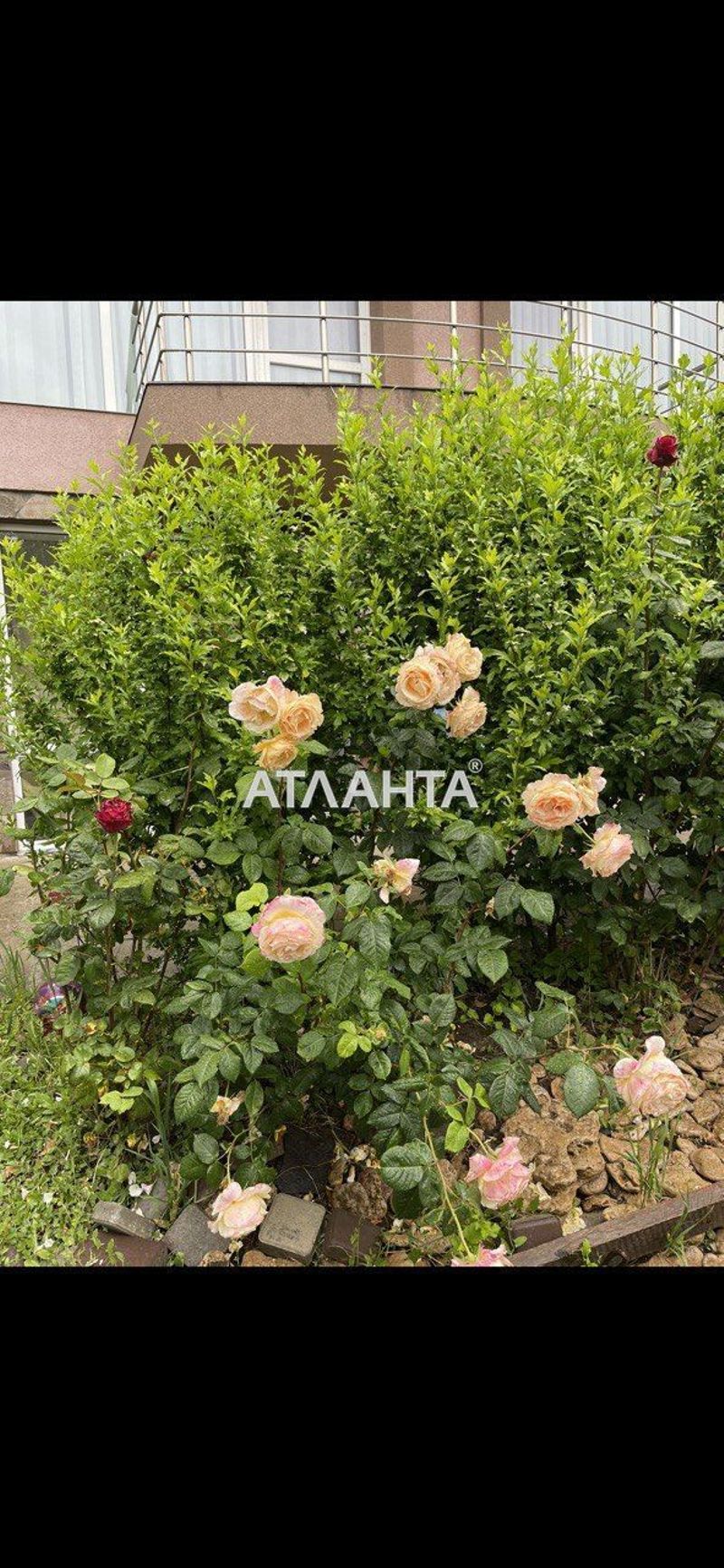 Дом по адресу ул. Шкиперская (площадь 217 м²) - Atlanta.ua - фото 9